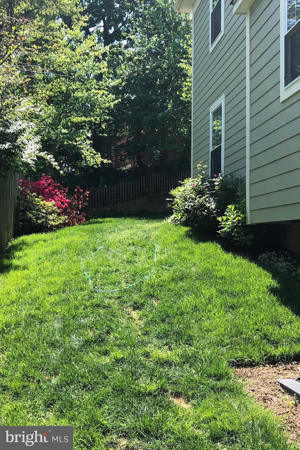 4124 21st Road North Arlington, VA 22207 - Photo 50 of 56 Left side yard