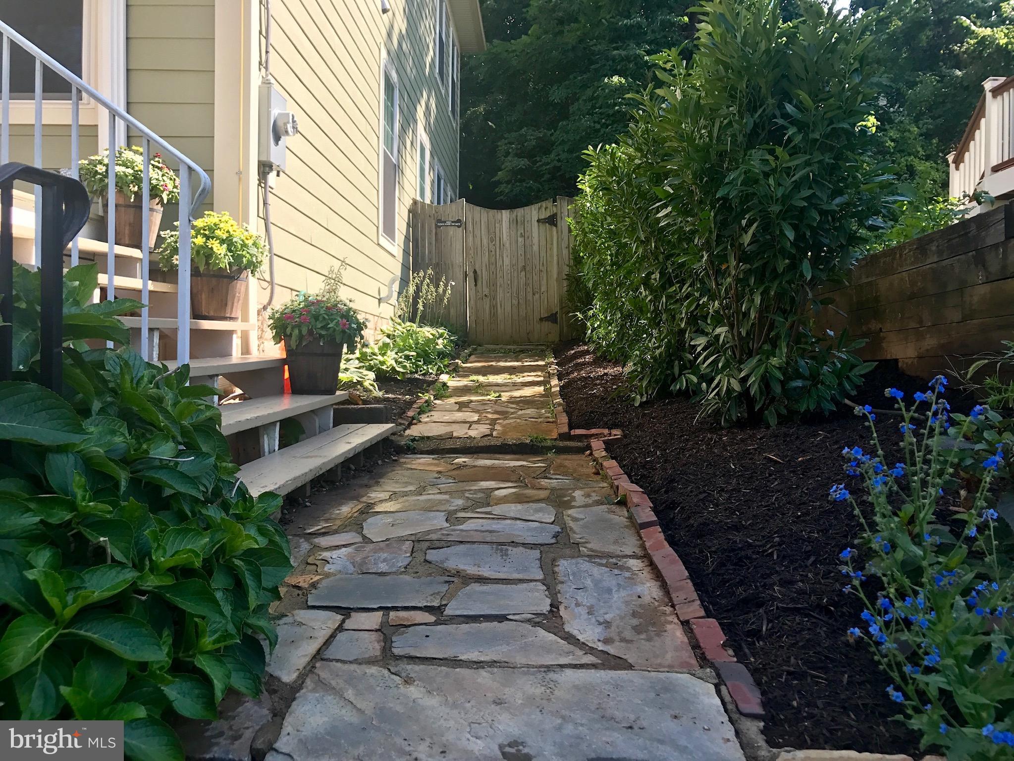 4124 21st Road North Arlington, VA 22207 - Photo 51 of 56 Walkway to front porch /Right side yard per