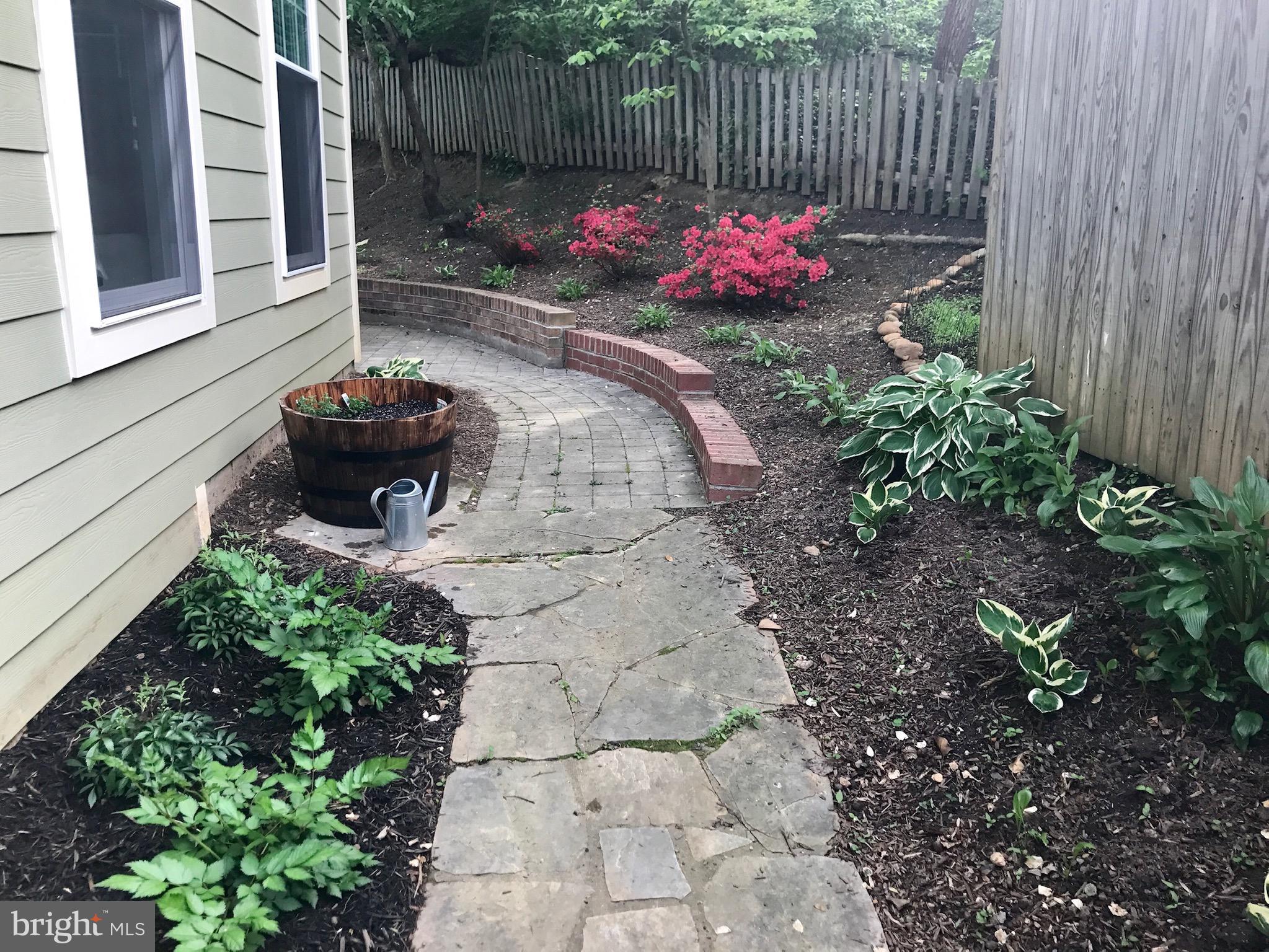 4124 21st Road North Arlington, VA 22207 - Photo 52 of 56 Right side yard perennial landscaped