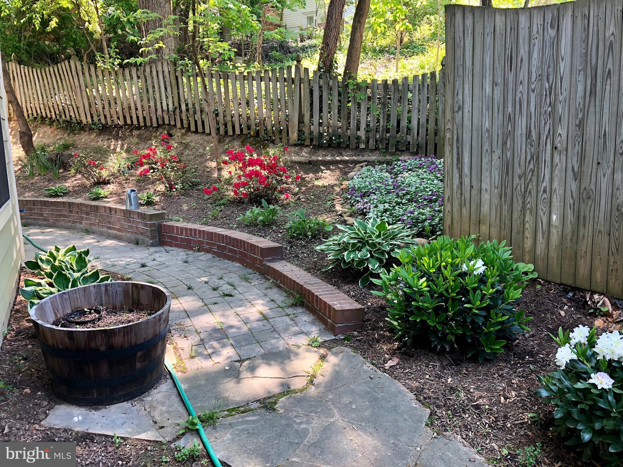 4124 21st Road North Arlington, VA 22207 - Photo 53 of 56 Right side yard perennial landscaped