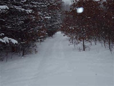 River Road Harrietta, MI 49638 - Photo 1 of 3 Primary Photo