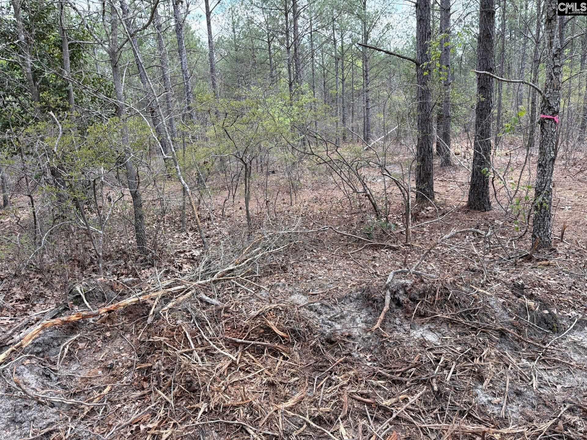 4 Mt Calvary Rd Ridge Spring Ridge Spring, SC 29129 - Photo 14 of 40