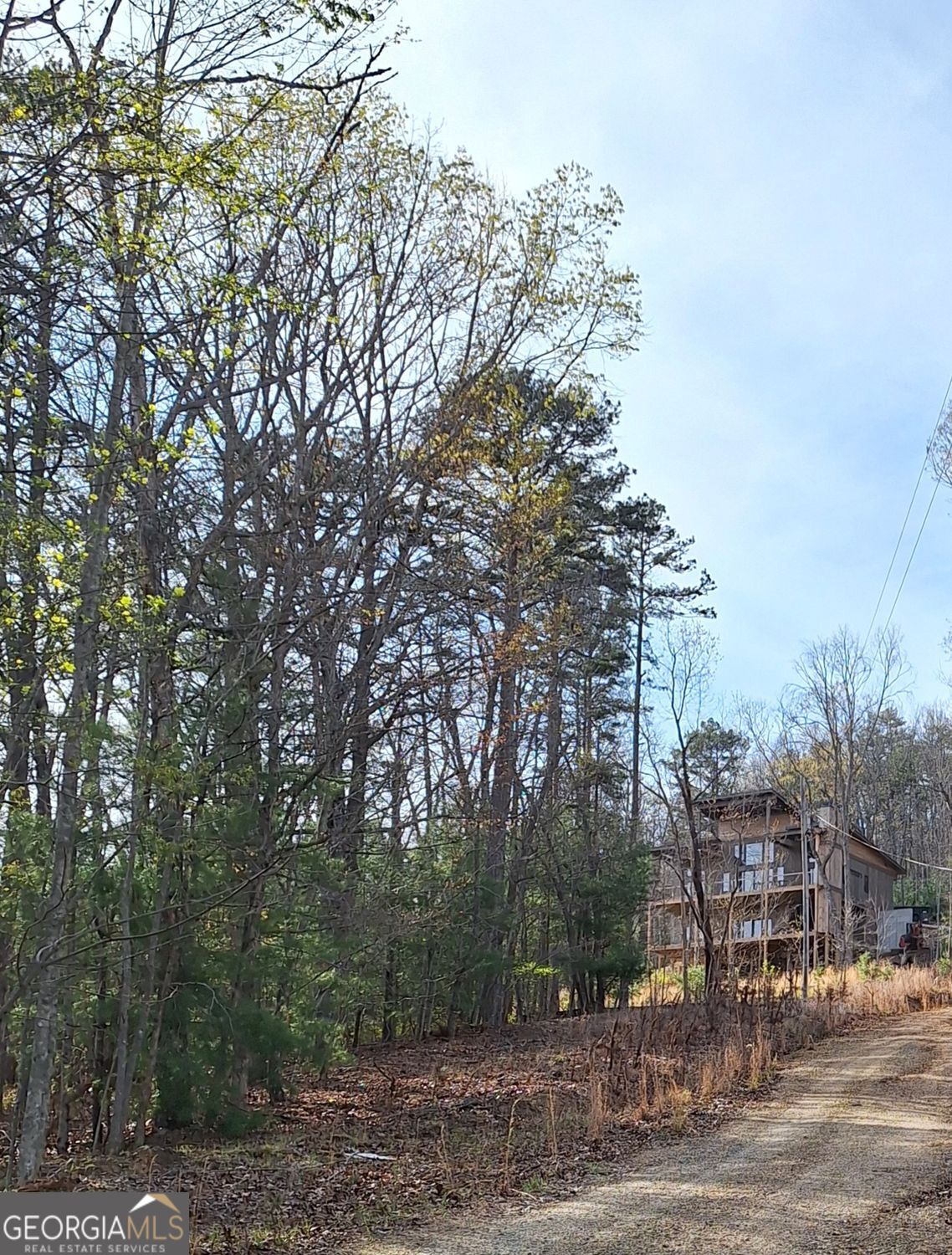 0 Mull Ln Circle Morganton, GA 30560 - Photo 3 of 7