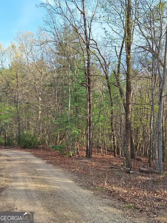$54,900 | 0 Mull Ln Circle, Morganton, GA 30560