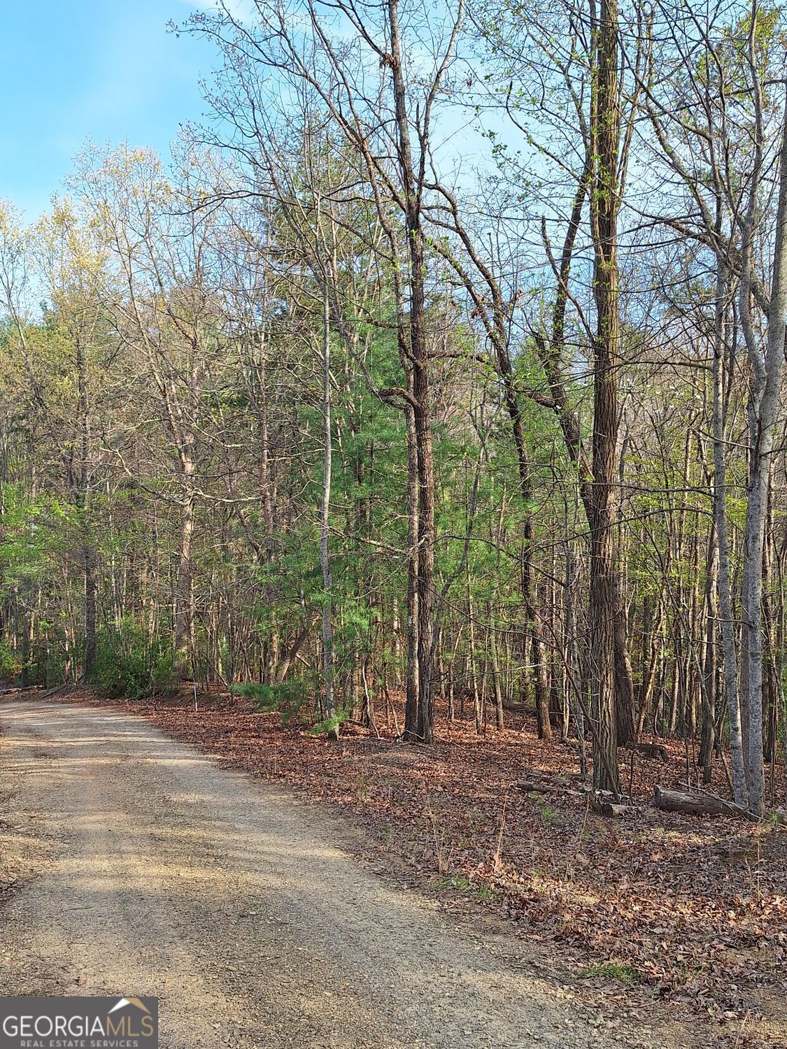 0 Mull Ln Circle Morganton, GA 30560 - Photo 5 of 7