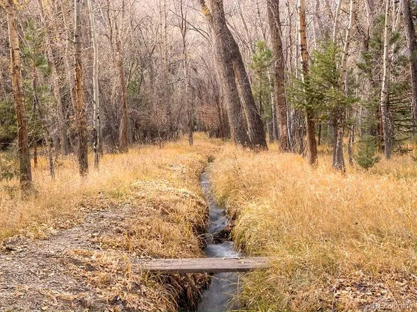 $849,000 | 18957 County Road 162, Nathrop, CO 81236