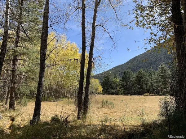 $849,000 | 18957 County Road 162, Nathrop, CO 81236