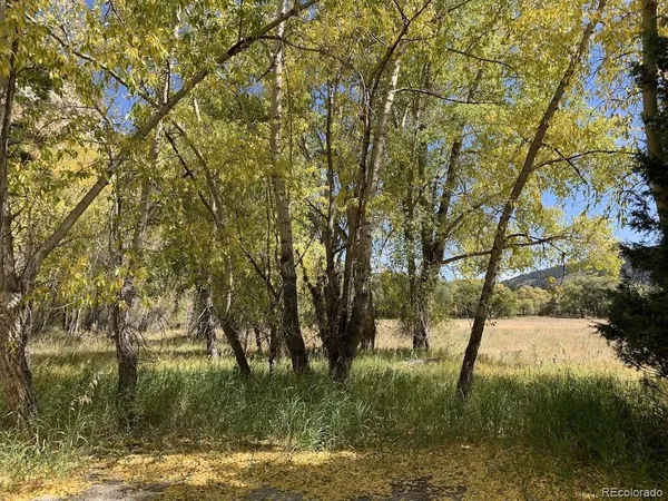 $849,000 | 18957 County Road 162, Nathrop, CO 81236