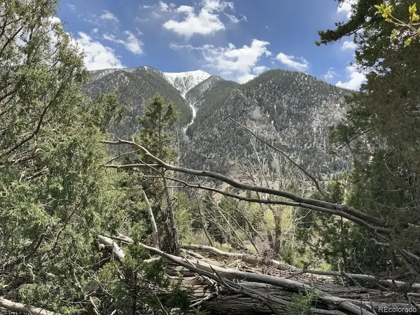 $849,000 | 18957 County Road 162, Nathrop, CO 81236