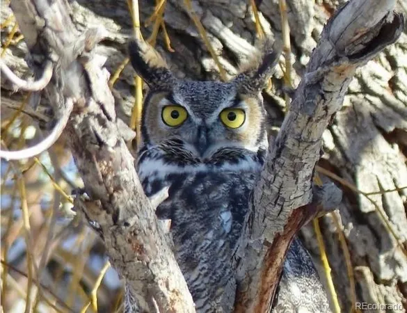 $849,000 | 18957 County Road 162, Nathrop, CO 81236