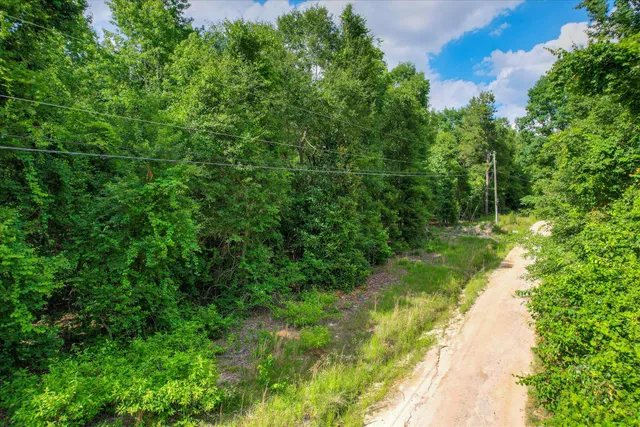 $75,000 | Lot 6 Cypress Point Lane, Beech Island, SC 29842