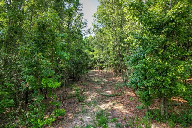 $75,000 | Lot 6 Cypress Point Lane, Beech Island, SC 29842
