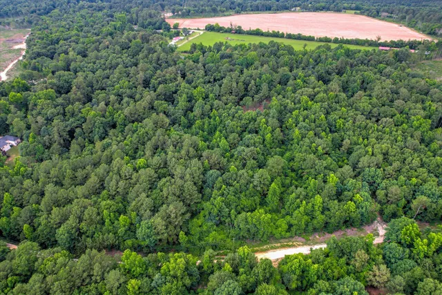 $75,000 | Lot 6 Cypress Point Lane, Beech Island, SC 29842