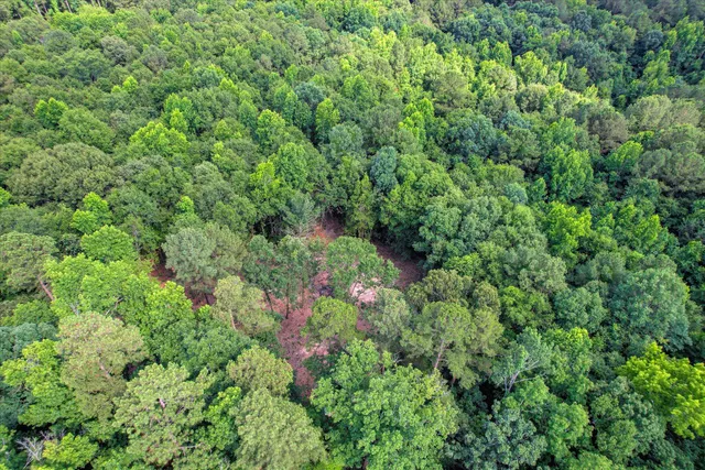 $75,000 | Lot 6 Cypress Point Lane, Beech Island, SC 29842