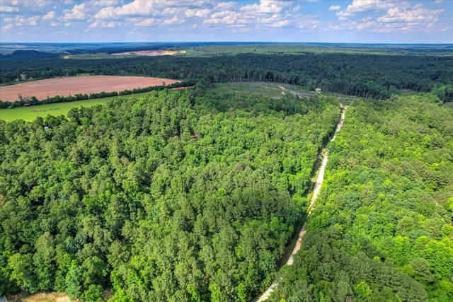 $75,000 | Lot 6 Cypress Point Lane, Beech Island, SC 29842