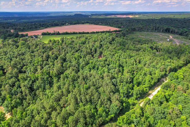 $75,000 | Lot 6 Cypress Point Lane, Beech Island, SC 29842