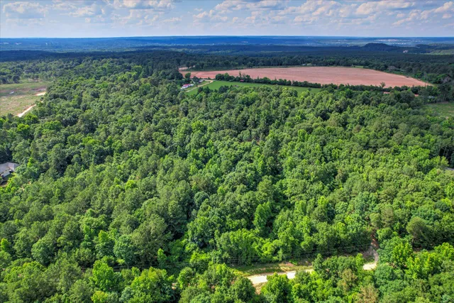 $75,000 | Lot 6 Cypress Point Lane, Beech Island, SC 29842