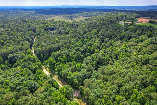 $75,000 | Lot 6 Cypress Point Lane, Beech Island, SC 29842