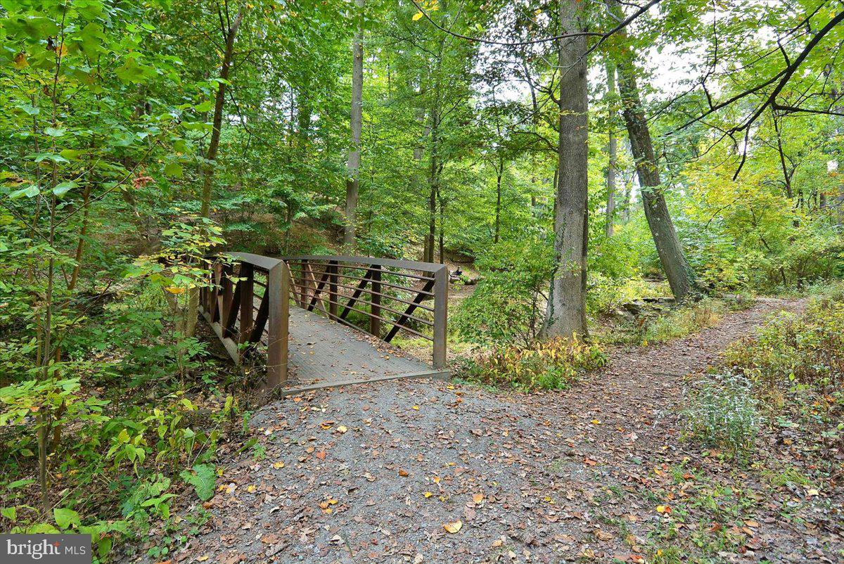 3201 Circle Hill Road Alexandria, VA 22305 - Photo 32 of 37 property backs to Monticello Park