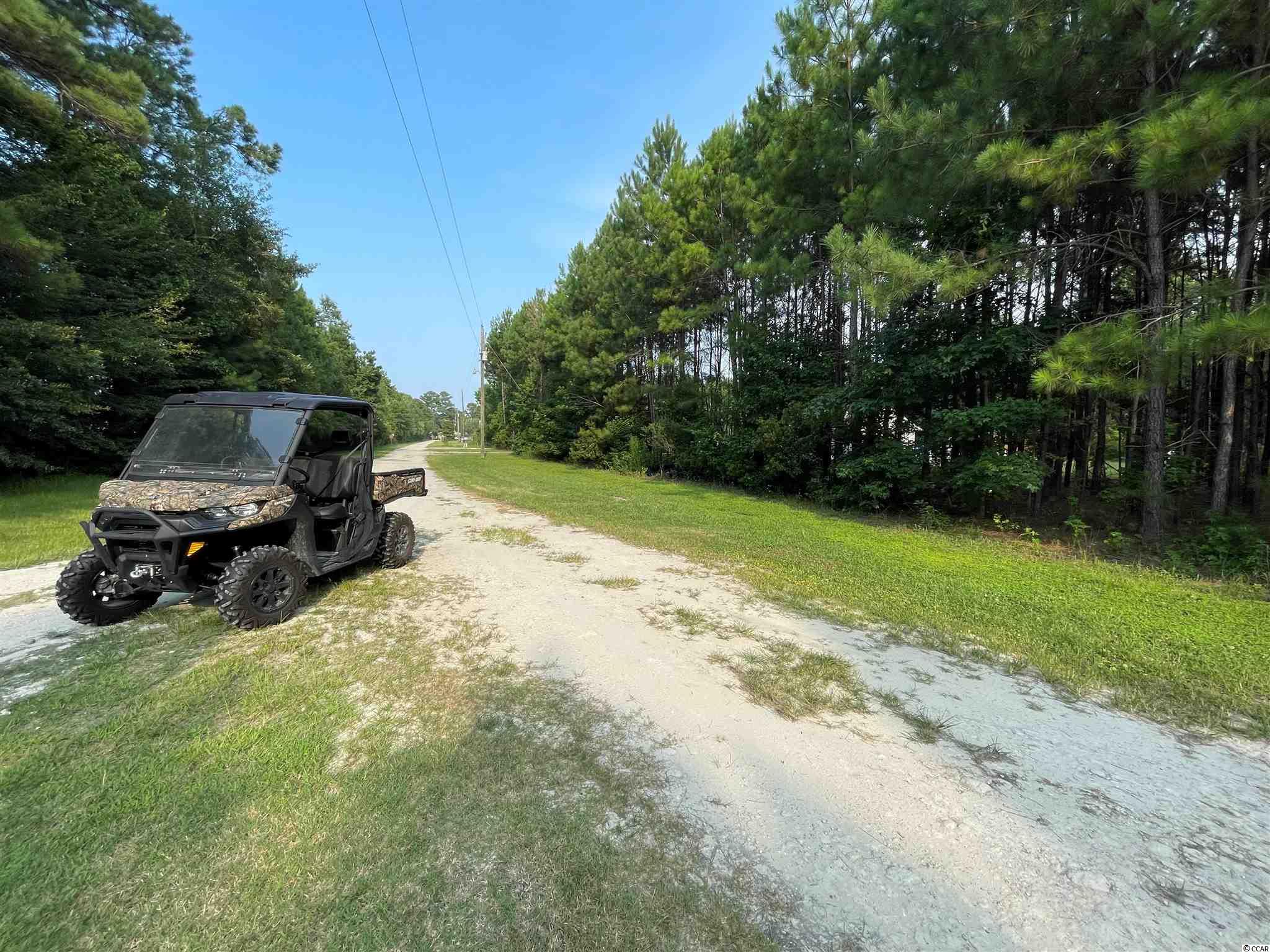 137 Juniper Ridge Road Conway, SC 29527 - Photo 4 of 19 Gallery Image 4