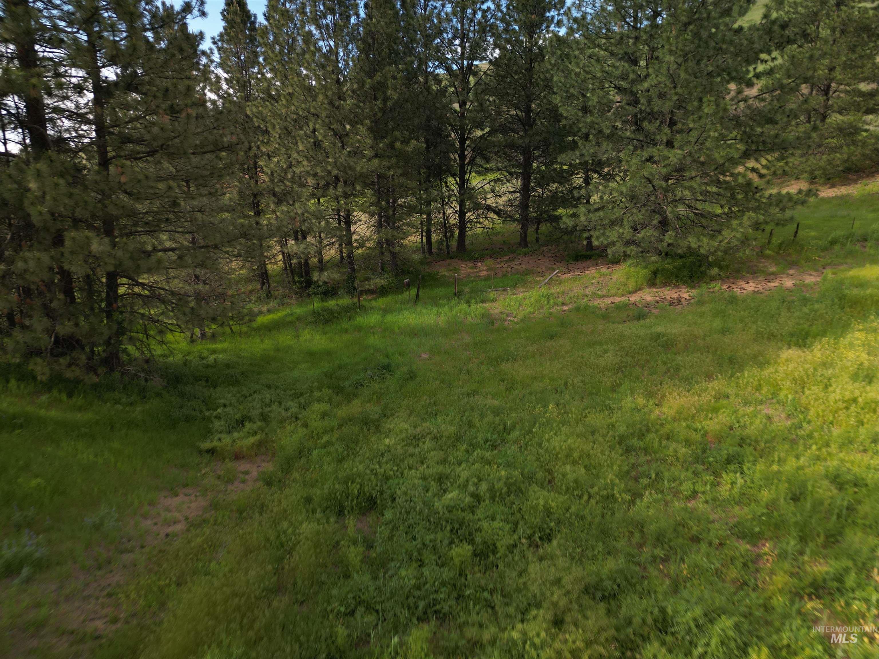 0 American Ridge Road Kendrick, ID 83537 - Photo 15 of 25