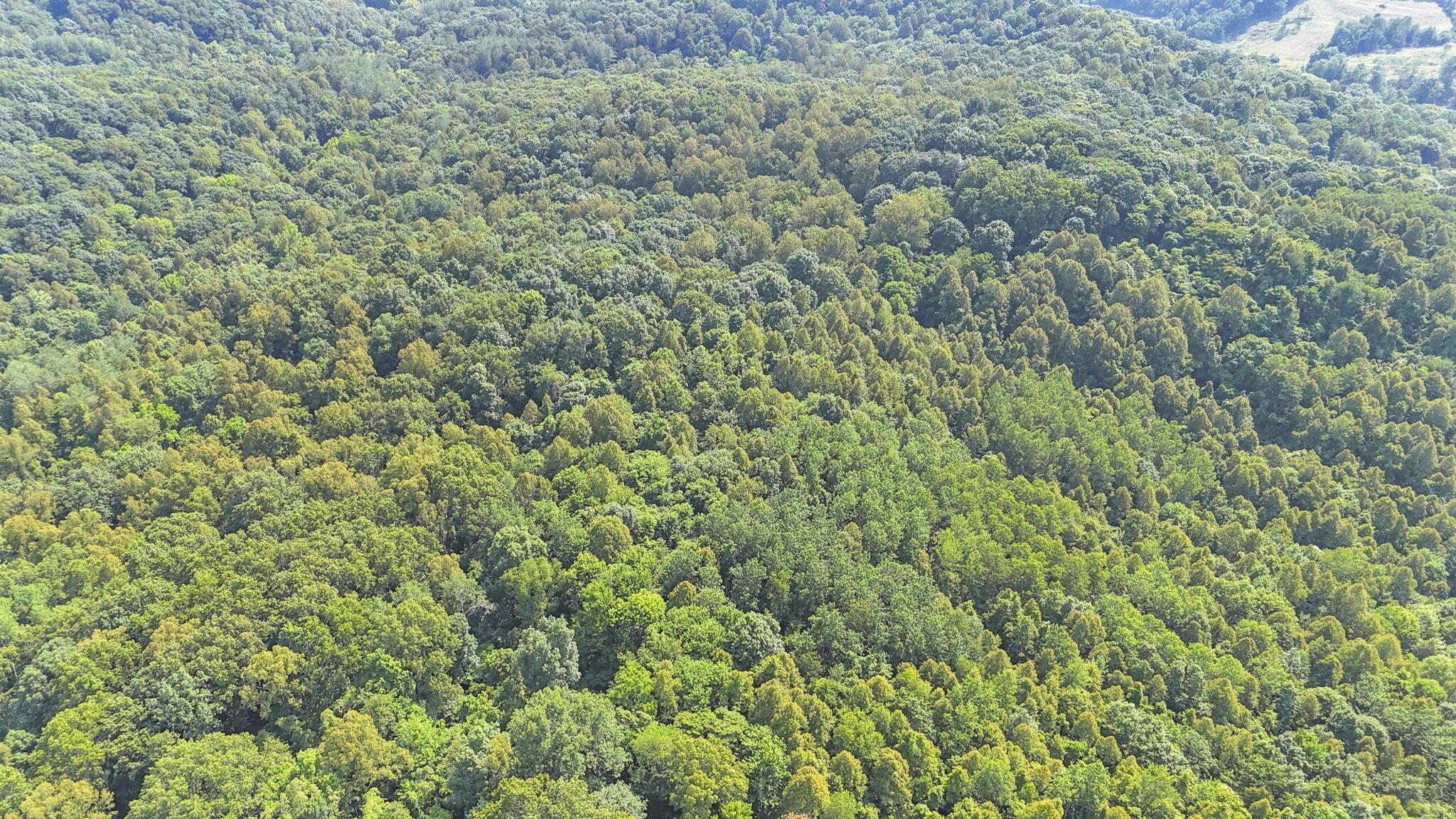 0 Thad Hall Road Laurelville, OH 43135 - Photo 28 of 28 21-web-or-mls-DJI_20240621161905_0078_D