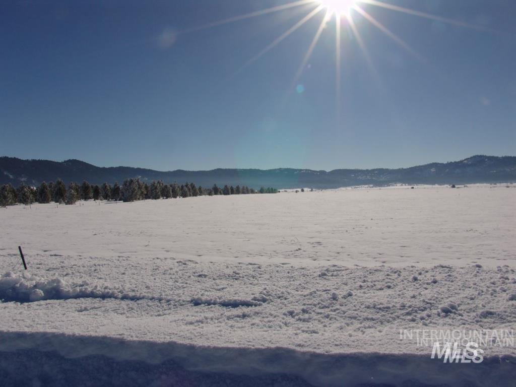 111 Sixty Lane Cascade, ID 83611 - Photo 45 of 50