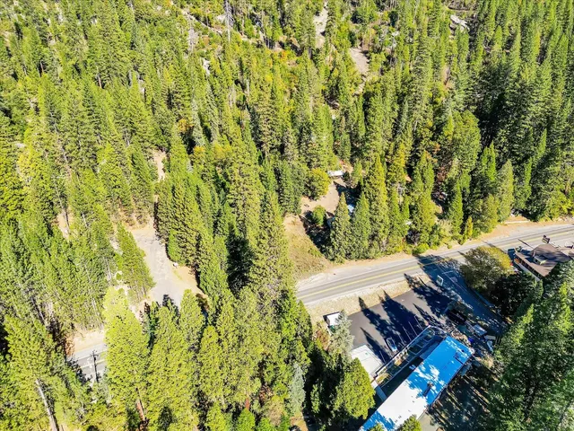 a view of a yard with plants and wooden fence