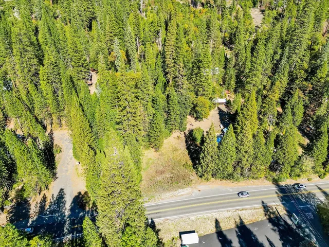 a view of a yard with plants