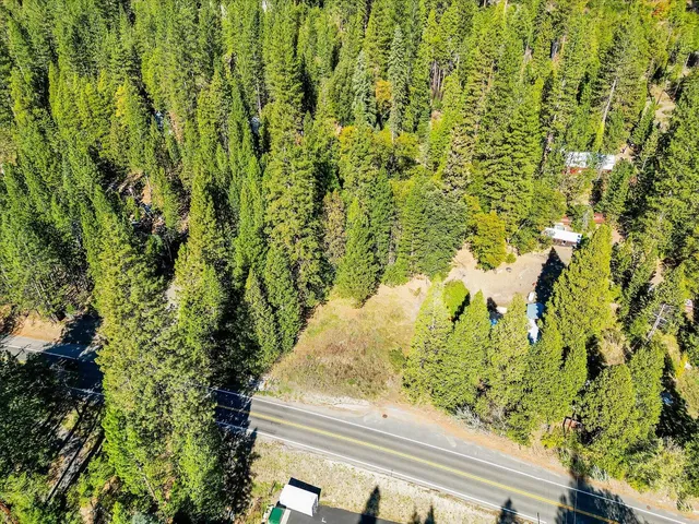 a view of a yard with plants