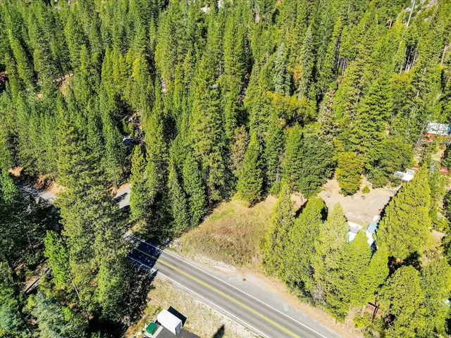 a view of a yard with plants and tree