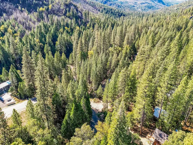 a view of a bench in a garden
