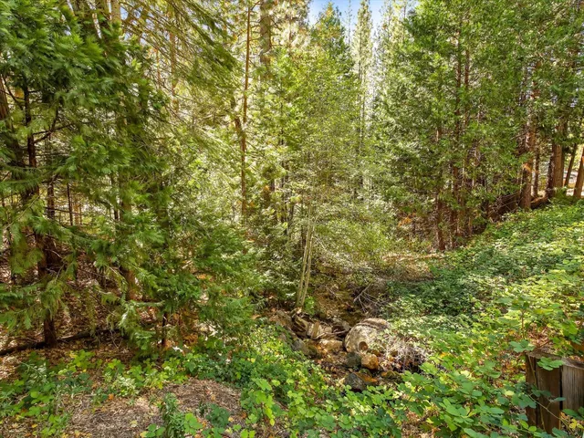 a view of an outdoor space and yard