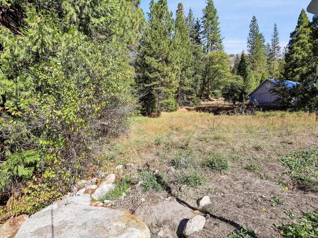 a view of empty yard