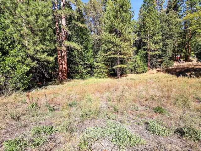 a view of a yard covered in snow