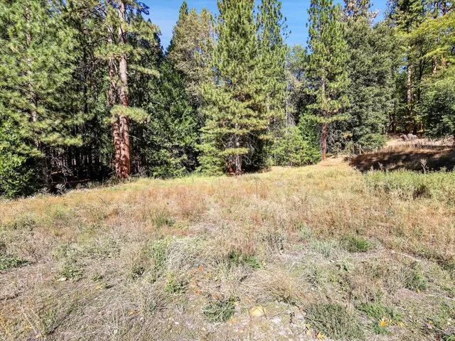 a view of a yard covered in snow