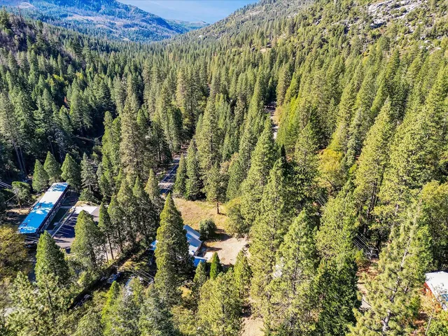 a view of a garden with plants