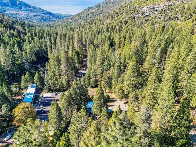 a view of a garden with plants