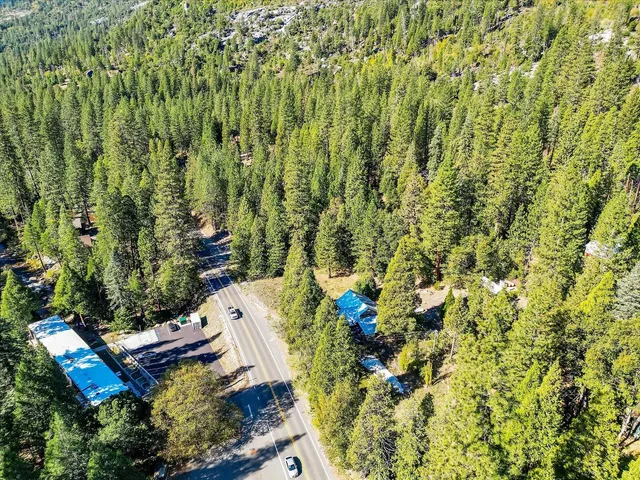 a view of a yard with plants and wooden fence