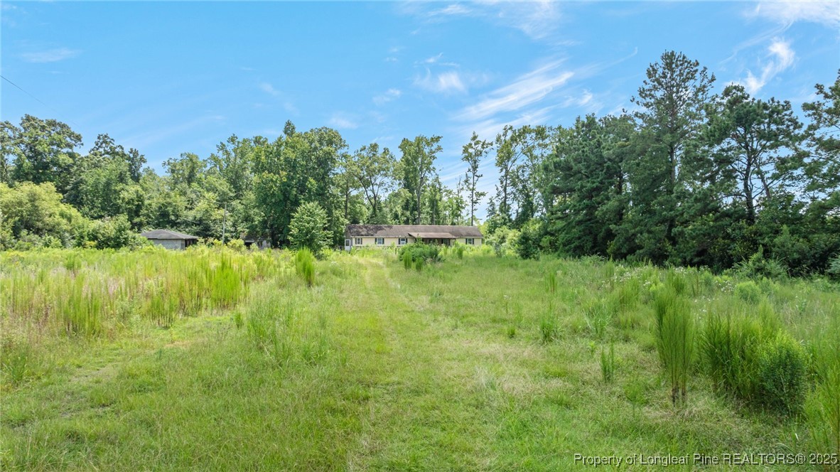 3402 Pine Log Road Lumberton, NC 28360 - Photo 12 of 24 a view of a garden with plants and a large tree