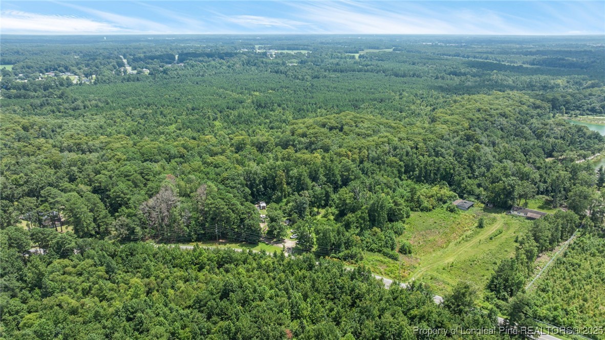 3402 Pine Log Road Lumberton, NC 28360 - Photo 14 of 24 a view of a green field with lots of bushes