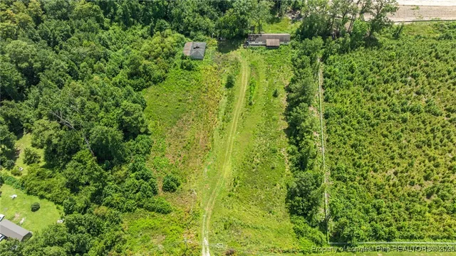 a view of a garden with a building in the background