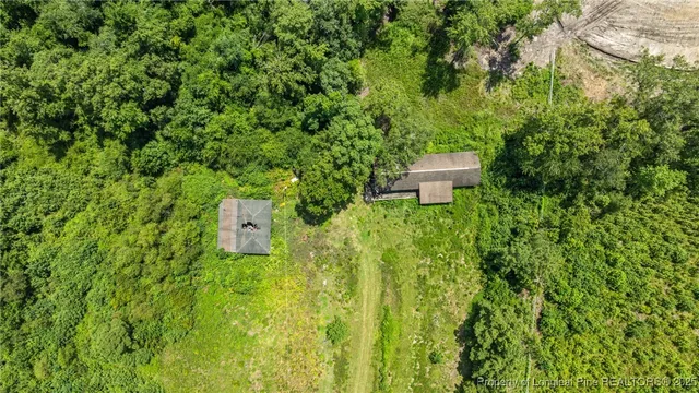 a view of a garden with large trees
