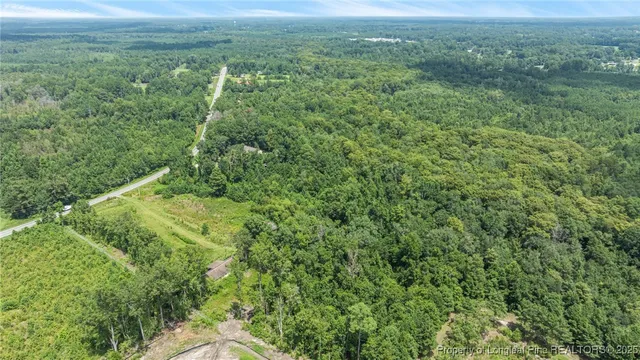 a view of a green field with lots of bushes