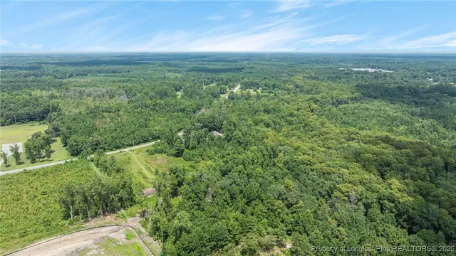 a view of a lush green forest with lots of trees
