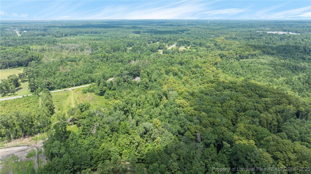 3402 Pine Log Road Lumberton, NC 28360 - Photo 22 of 24 a view of a green field with lots of bushes