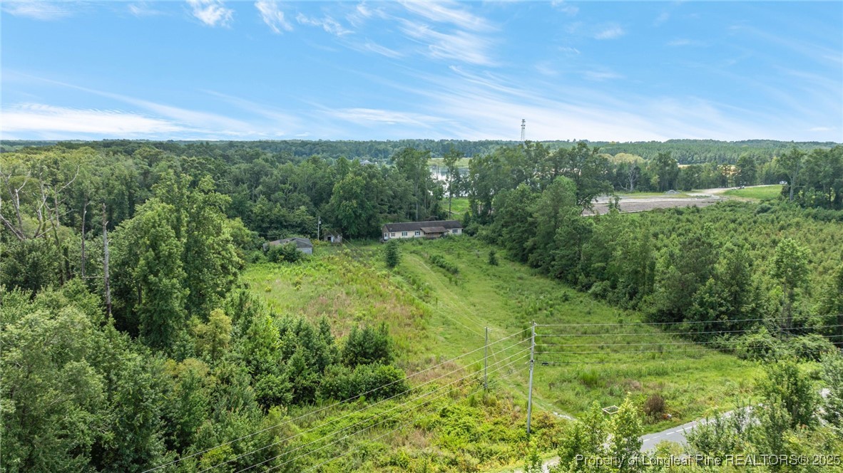 3402 Pine Log Road Lumberton, NC 28360 - Photo 24 of 24 a view of a green field with lots of bushes