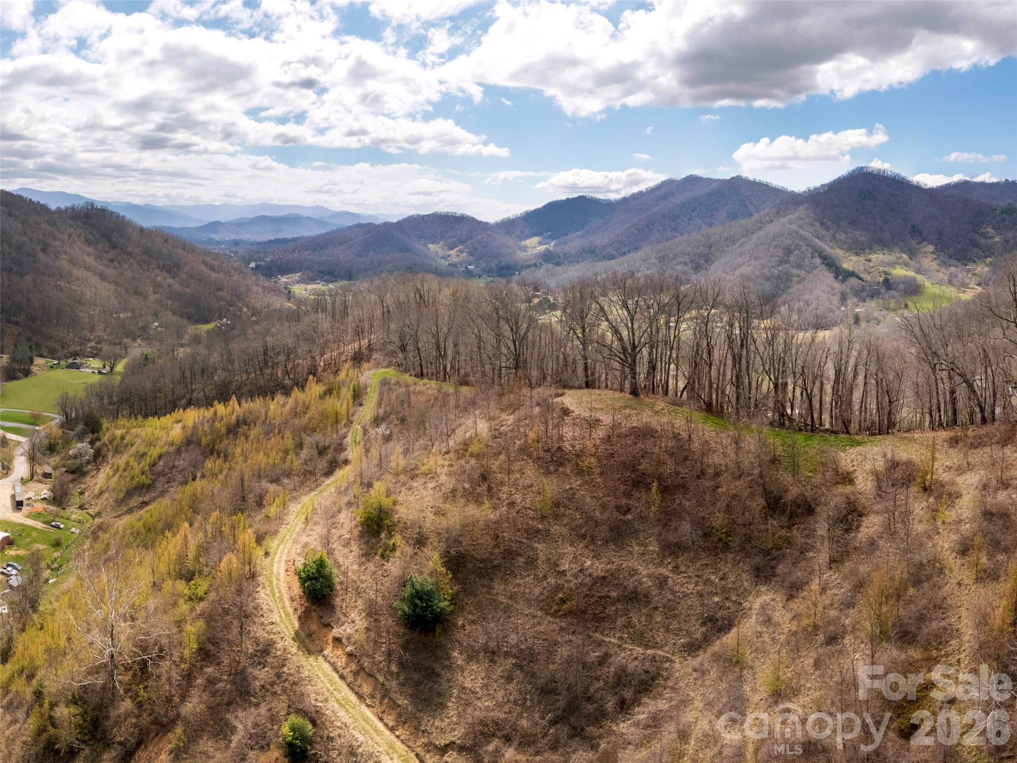 Tbd Wilson Cove Road Canton, NC 28716 - Photo 22 of 23