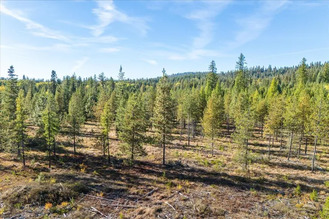 $95,000 | Nka Coyote Trail, Unit 453119560001, Newport, WA 99156