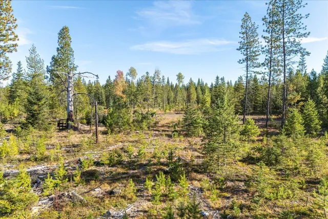 $95,000 | Nka Coyote Trail, Unit 453119560001, Newport, WA 99156